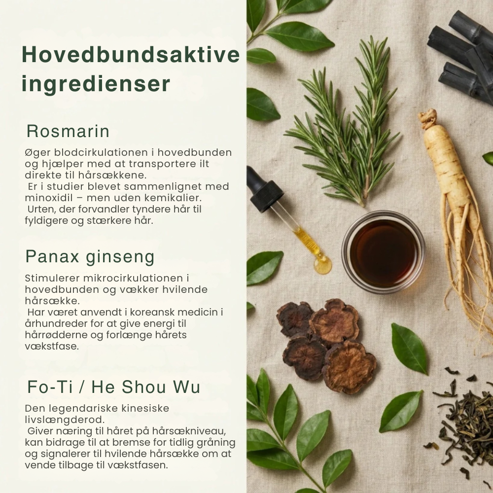 Koreansk ScalpRevive™ – Hår- & Hovedbundsbar